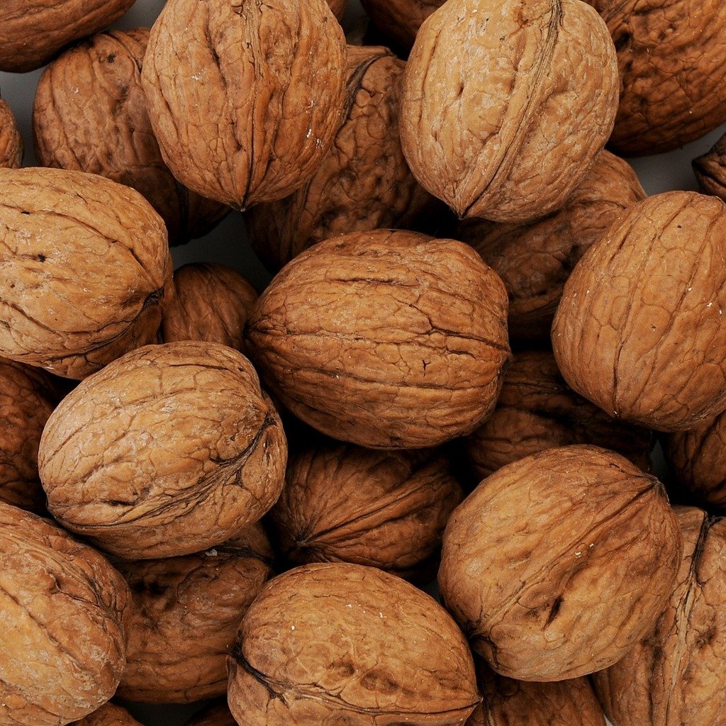 English Walnut