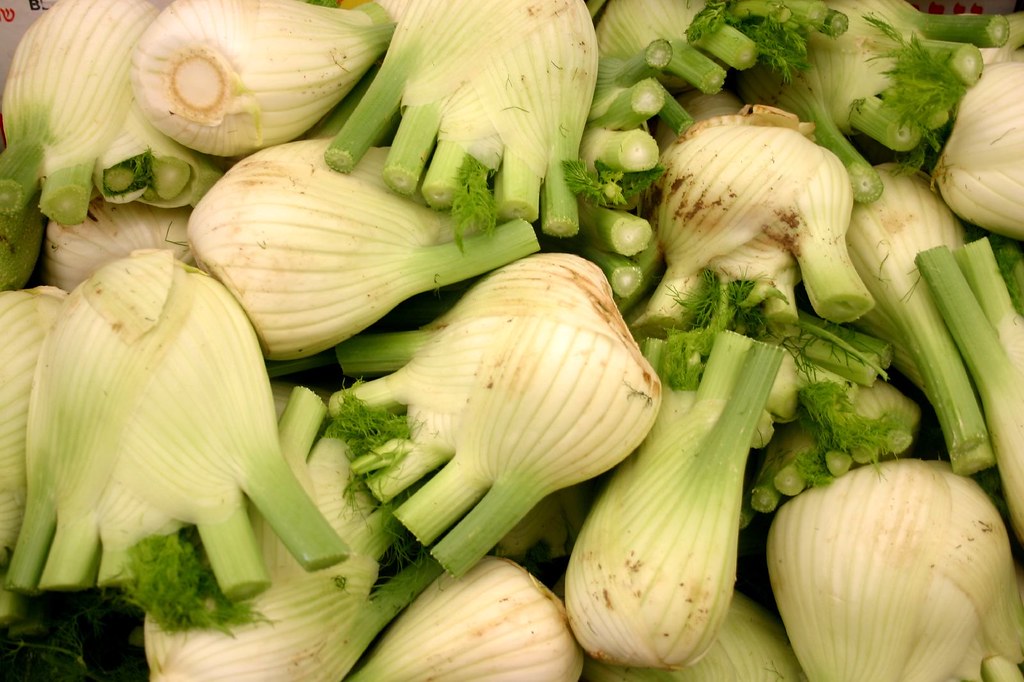 Fennel