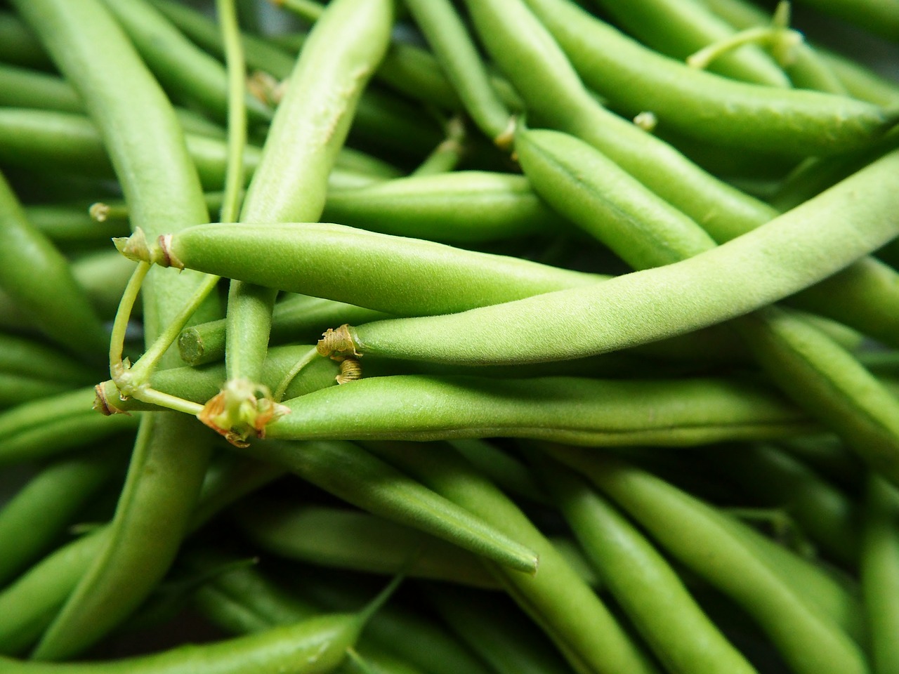 Green Bean
