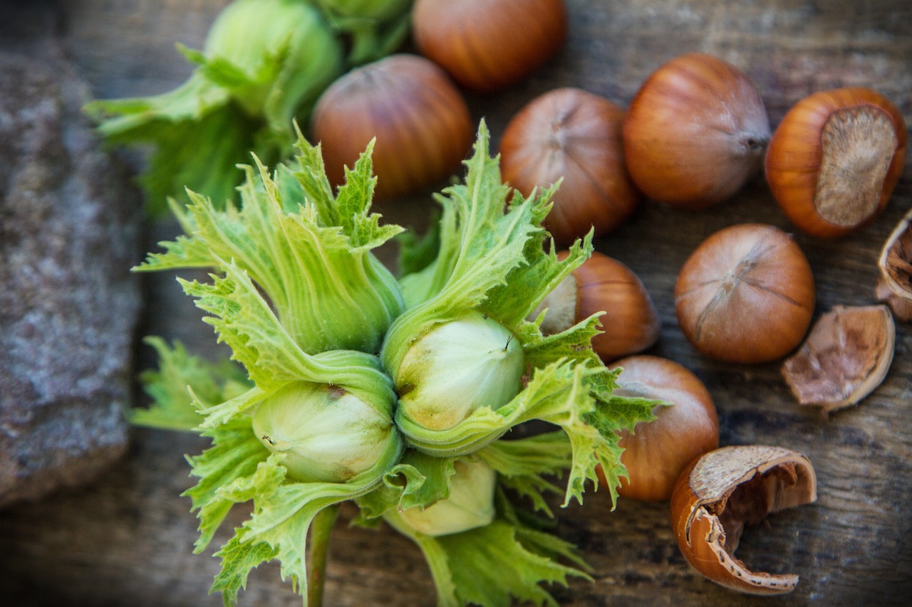 Hazelnut