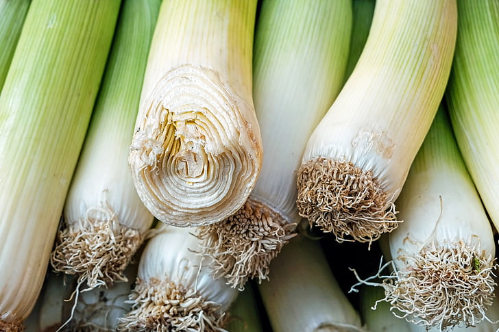 Leek