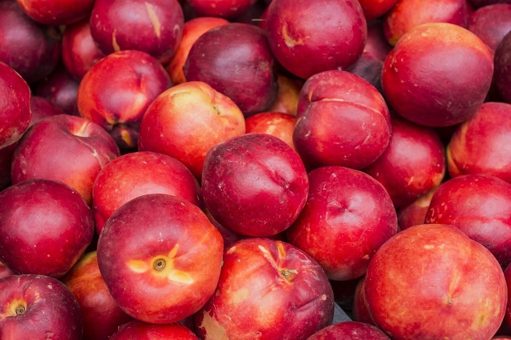Nectarine