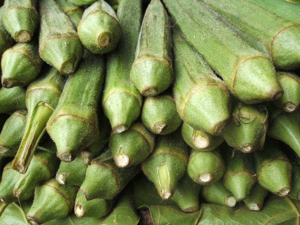 Okra