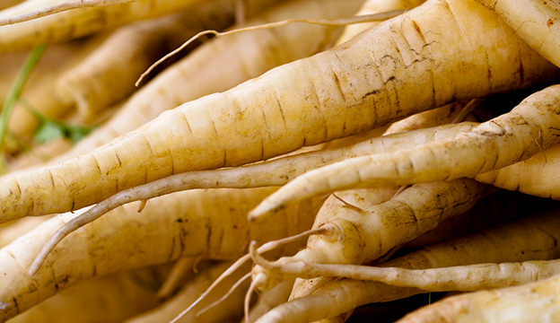 Parsnip