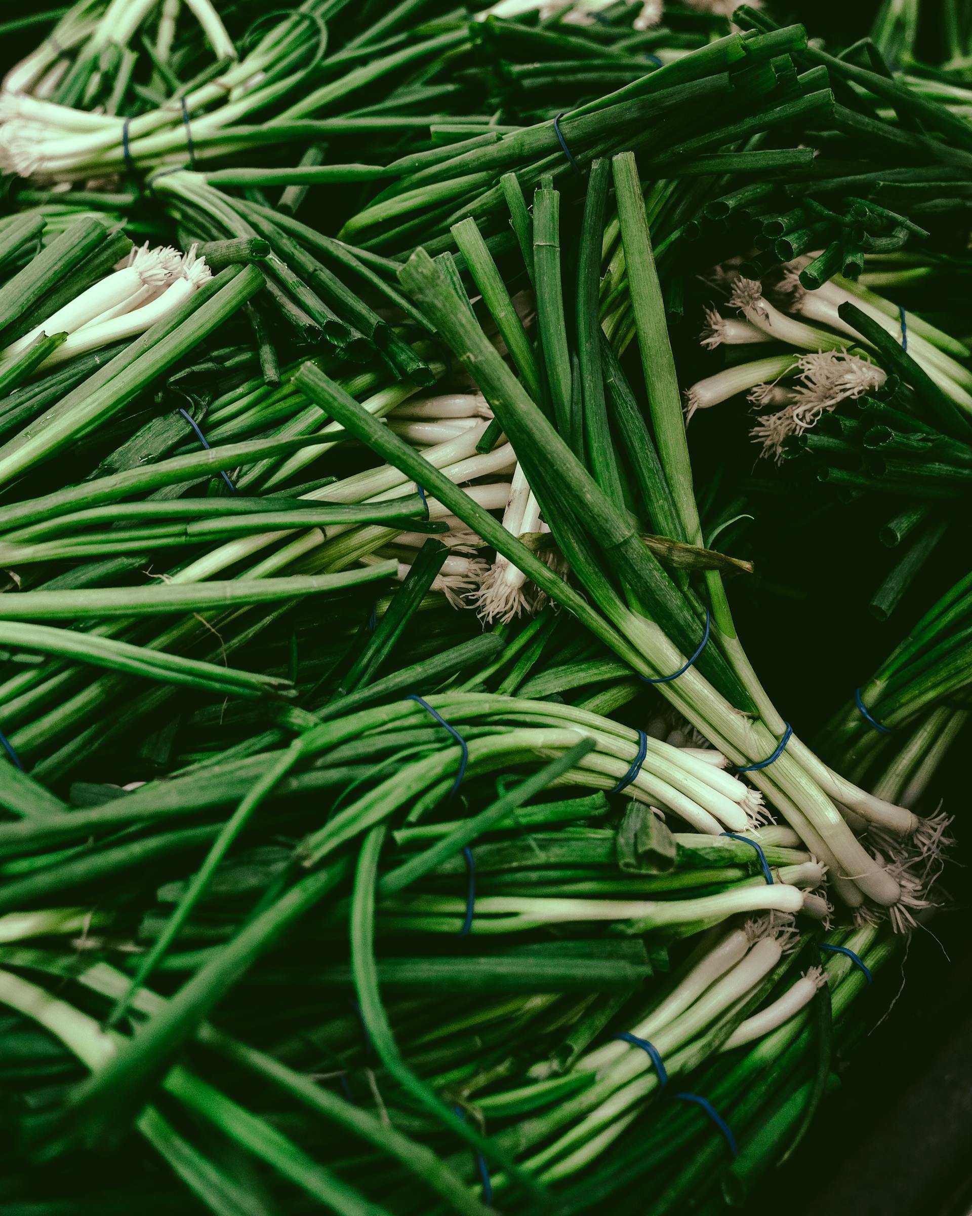 Scallion