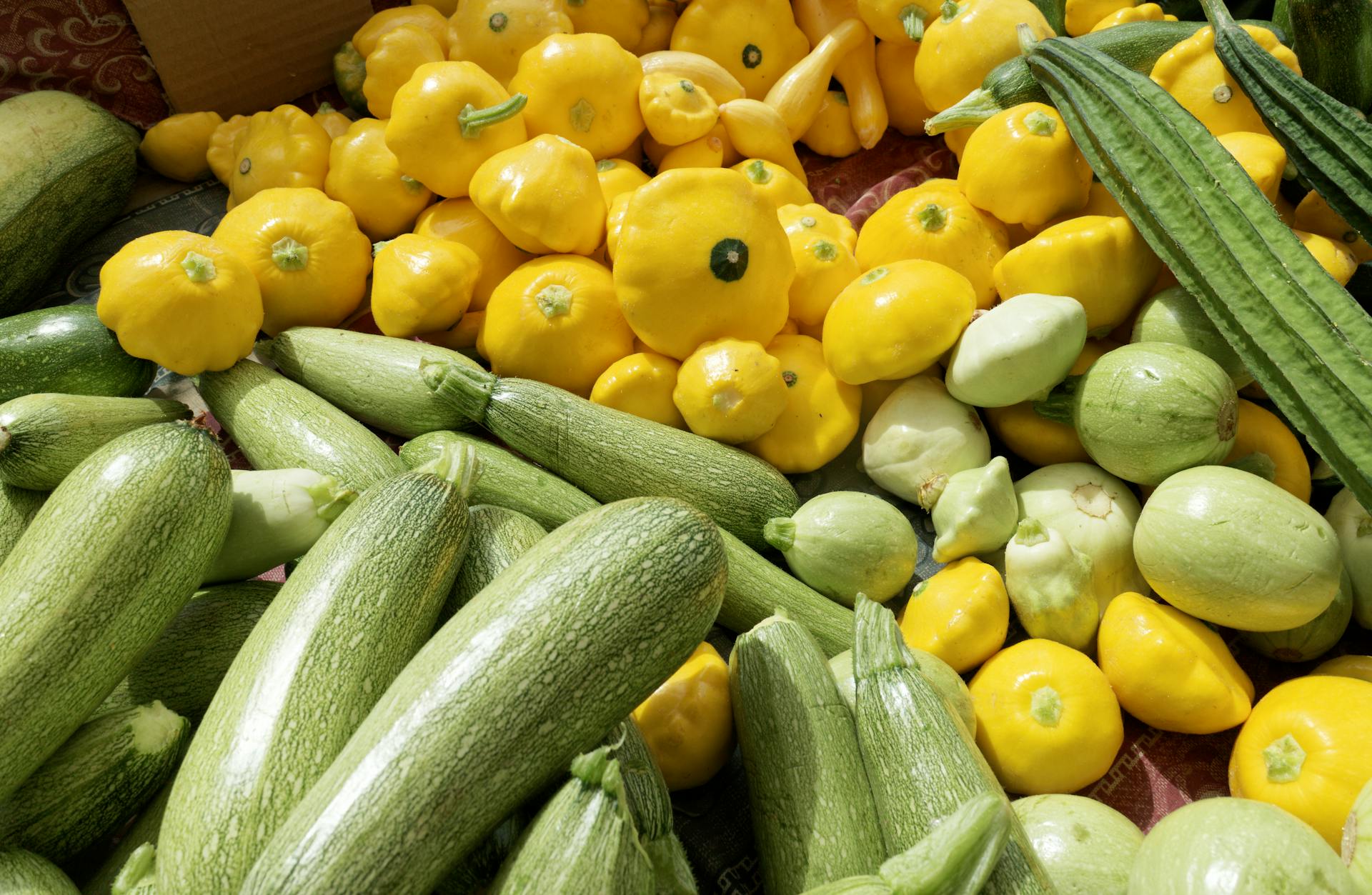 Summer Squash