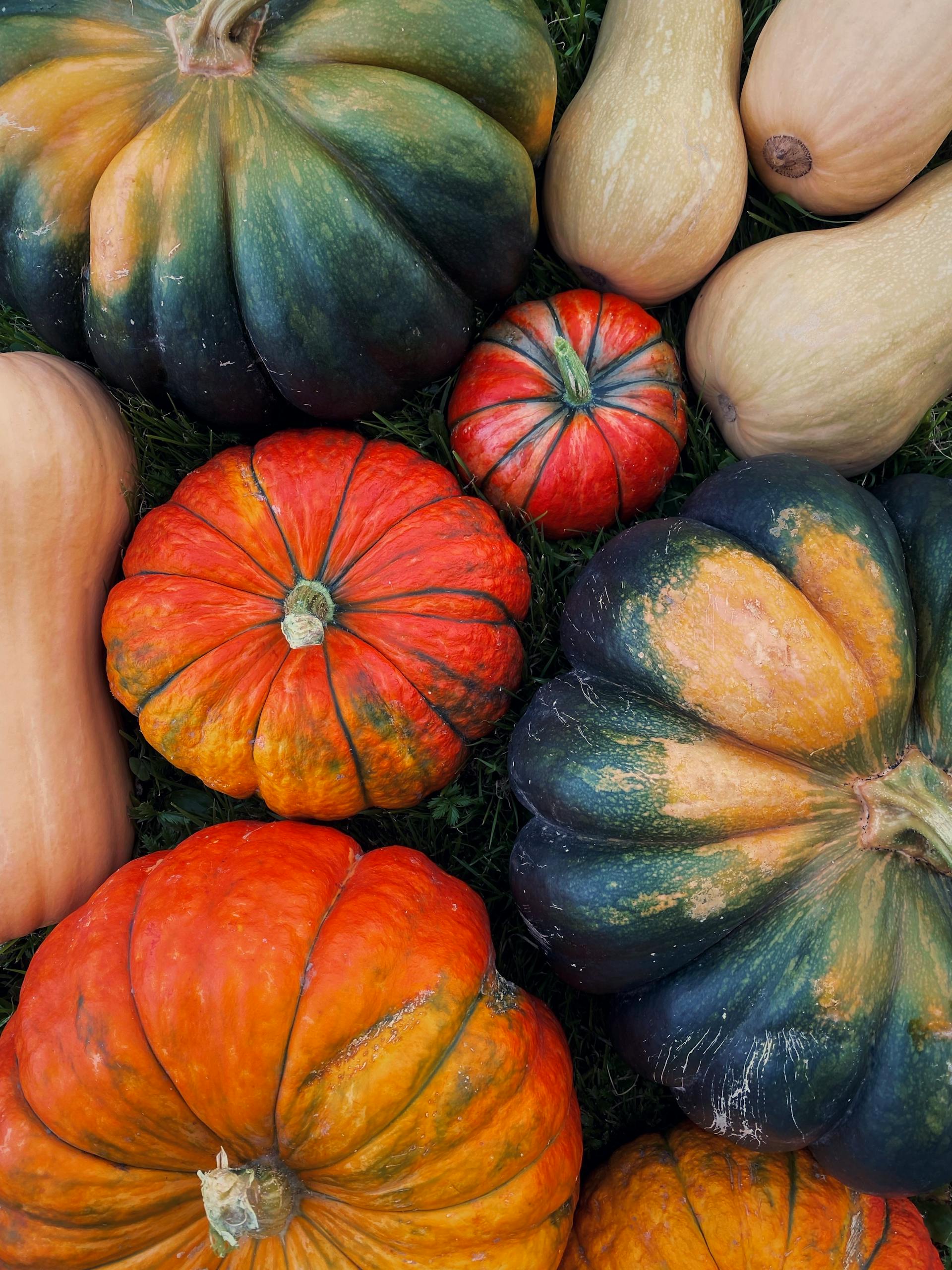 Butternut Squash / Tropical Pumpkin